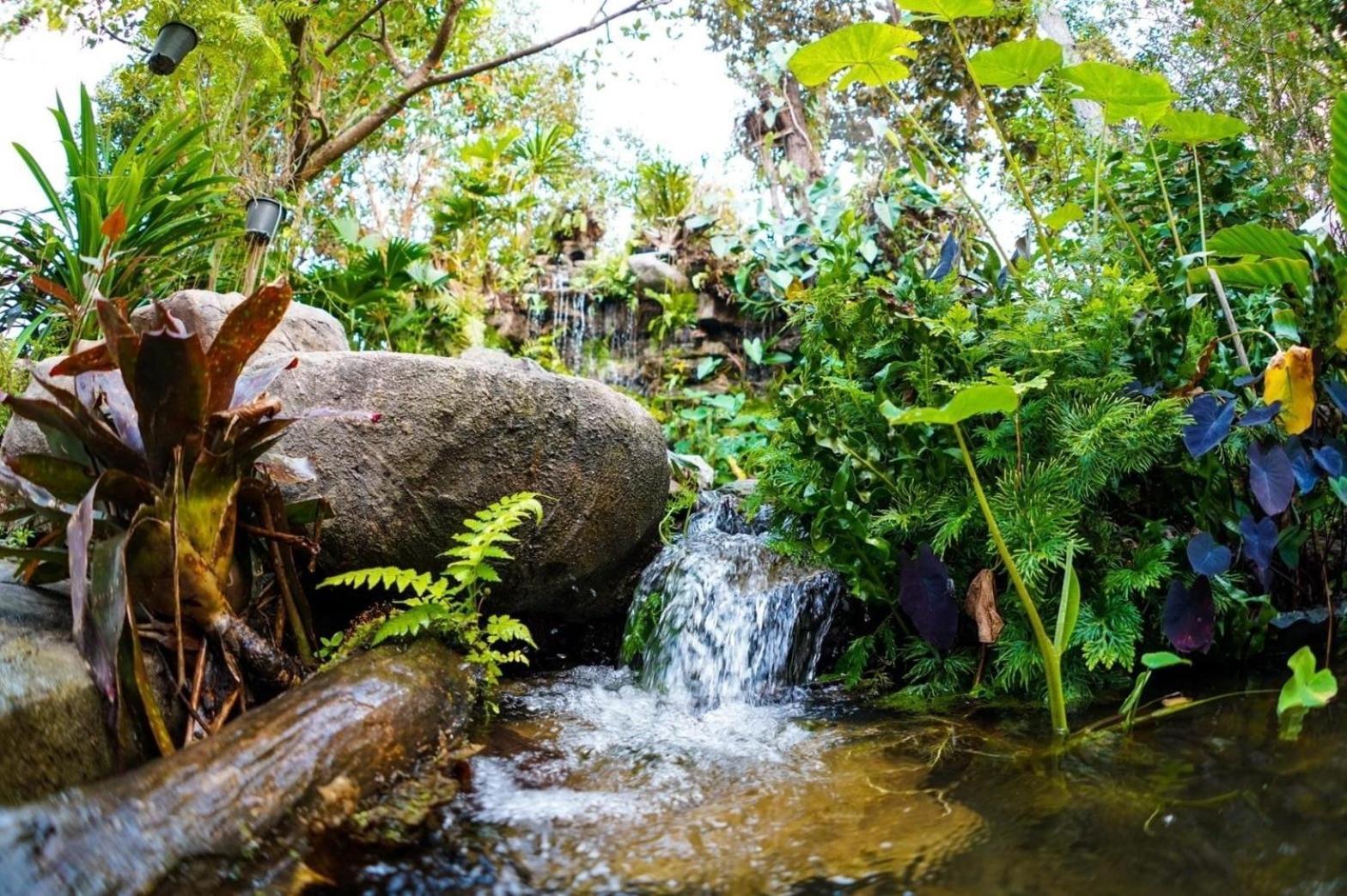 Baan Pingkan Wellness Resort San Kamphaeng 외부 사진